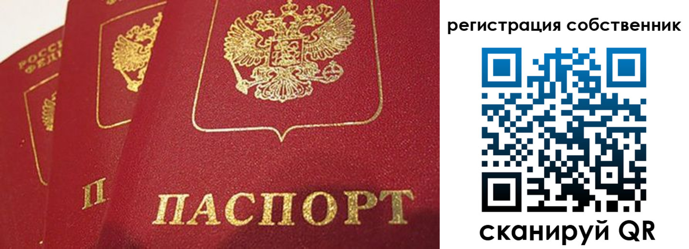 прописка штамп в Димитровграде