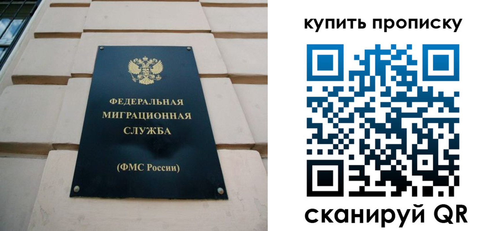 прописка регистрация в Димитровграде